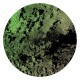 Various Artists - Broken Global System
