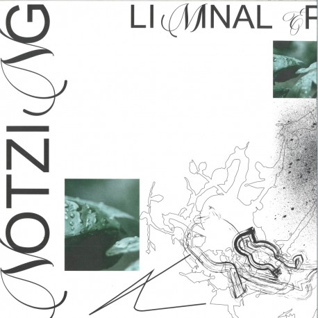 Notzing - Liminal EP