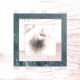Ardb - Atipic 016