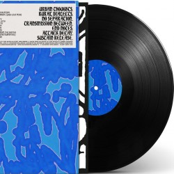 ADSR - Passive Articulation LP 2x12"
