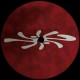 Various - Sonic Sauna Vol.1