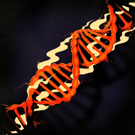 Various - Genetic Memories Vol. 2