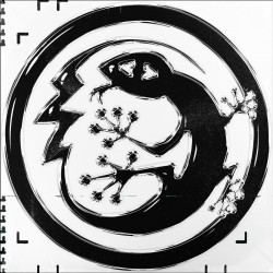 Kurilo / Komponente - TP006