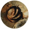 Various - Vivendum 4