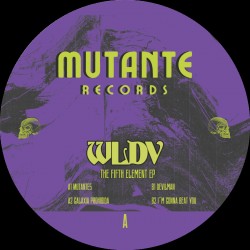 WLDV - The Fifth Element