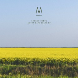 Andrei Ciubuc - Gotta Have House EP