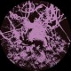 SY - Metamorphosis EP