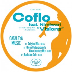 Coflo ft. Nimiwari - Visions