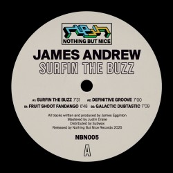 James Andrew - Surfin The Buzz