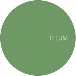 Unknown - TELUM013