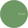 Unknown - TELUM013