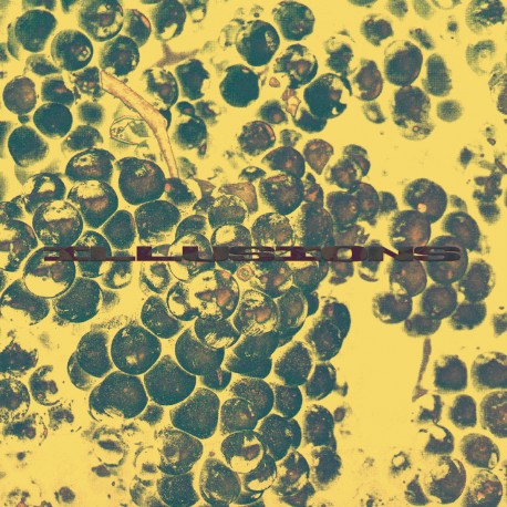 Alpine DJ - ILLUSIONS