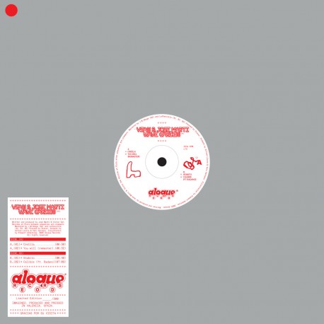 Vsan & José Martí - Wave Garden EP
