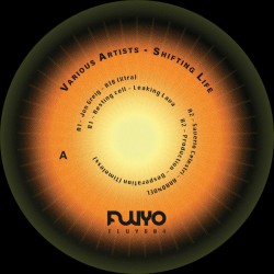 Various - Shifting Life