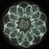 For•at - Luminus EP