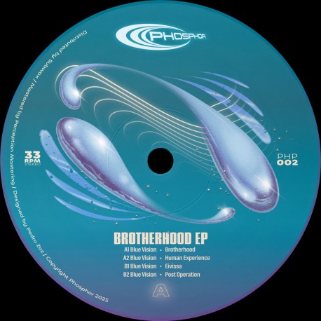 Blue Vision - Brotherhood EP