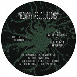 Various - Binary Revolutions