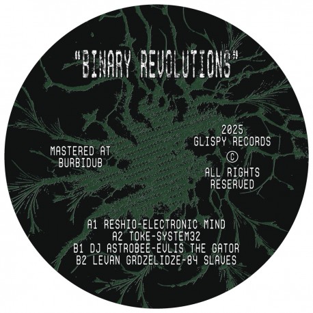Various - Binary Revolutions