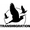 Transmigration