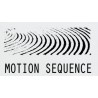 Motion Sequence